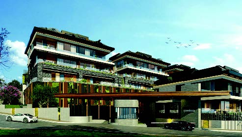 YÜKSEKDAĞ ÇAMLICA — 2